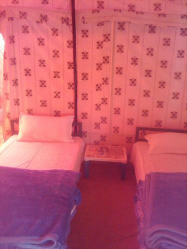 Himalayan Routes Camp Sarchu