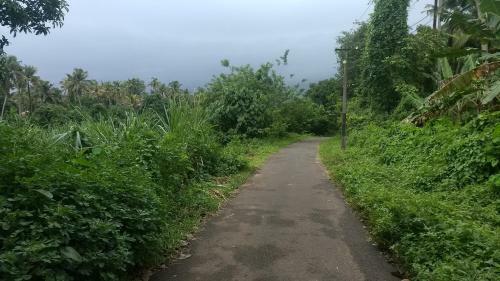 Hotel Neelambari Resorts