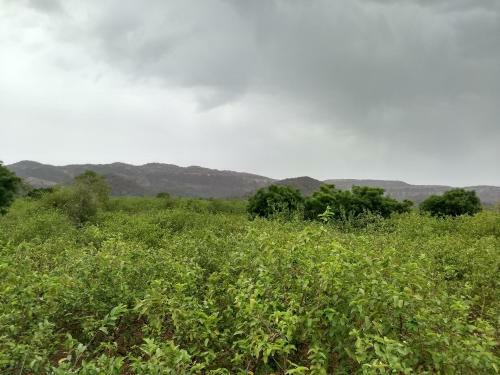 Hotel Ranthambore Bagh Palace