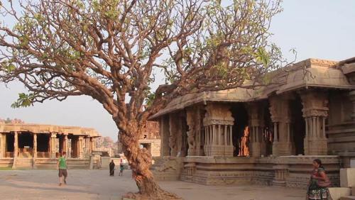 Vinayaka Homestay