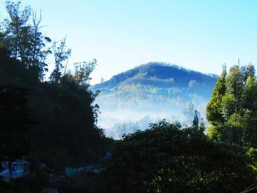 Hotel Mist Inn