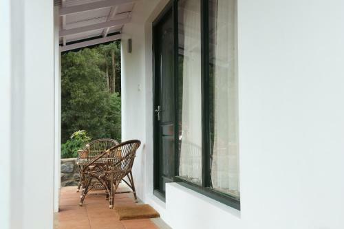 Bed & Breakfast The Tamarillo