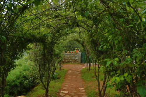 Bed & Breakfast The Tamarillo