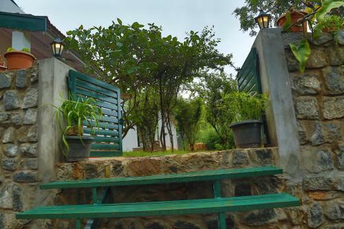 Bed & Breakfast The Tamarillo