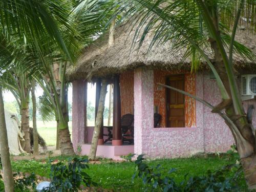 Hostal Paddy Homestay