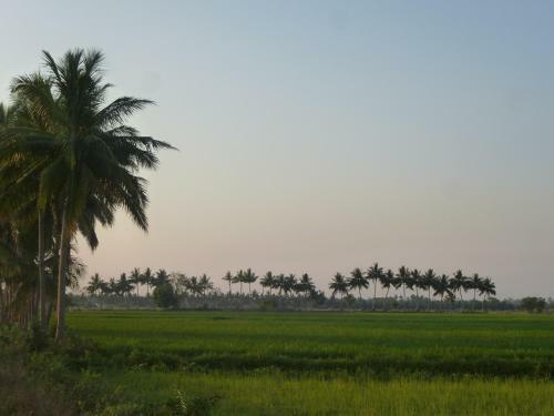 Hostal Paddy Homestay