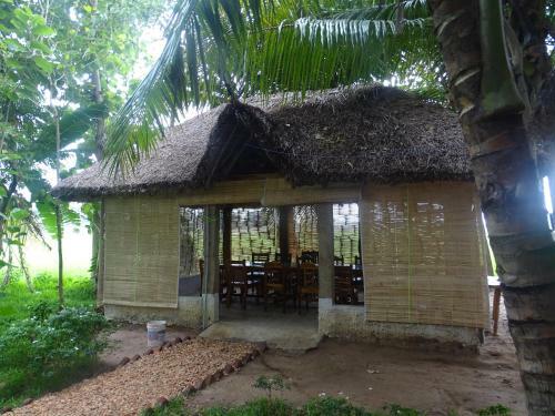 Hostal Paddy Homestay