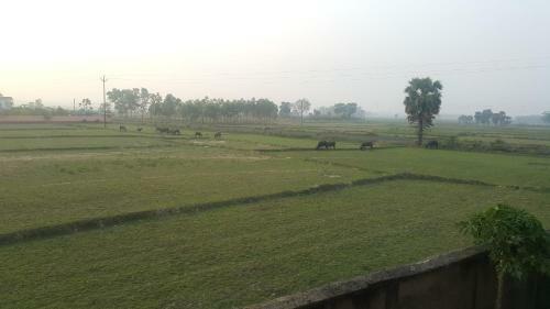 Shantiniketan Bungalow