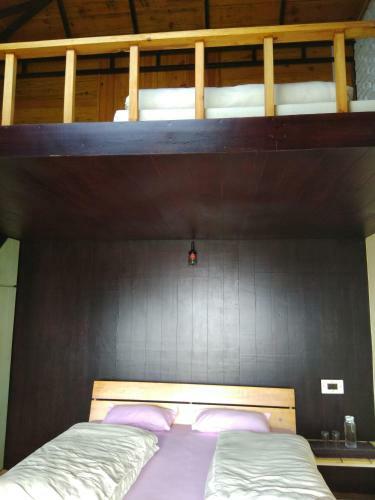 Hotel Great Barbet Lodge Homestay