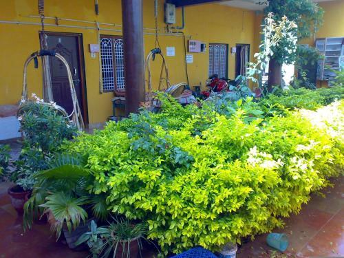 Hostal Archana Guest House River View