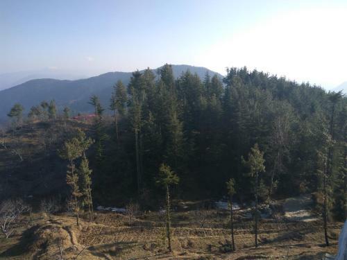Cozy Stay In Fagu