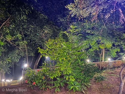 Kerala Heritage Villa