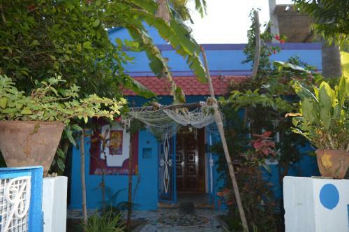 The Blue House