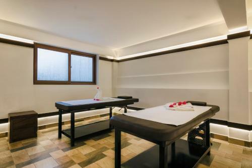 Hotel Elixir Hills Suites Resort And Spa