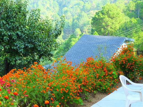 Hostie Sharanam - Mountain Villa