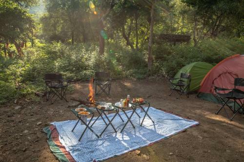 Ranakpur Adventures