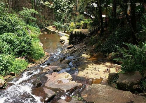 Hotel Falling Waters