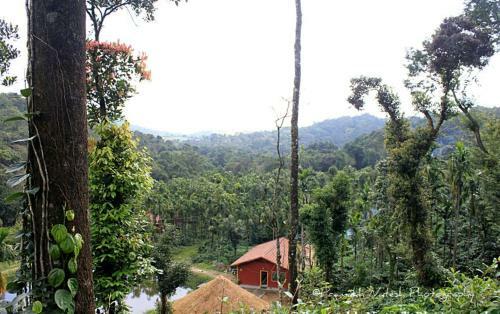 Non A/c Cardamom Dormitory Stay