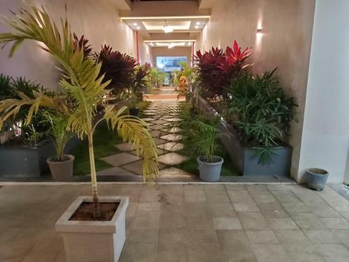 Hotel S-inn