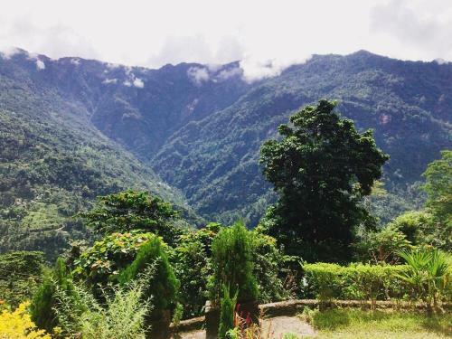 Shanti Niwas Homestay