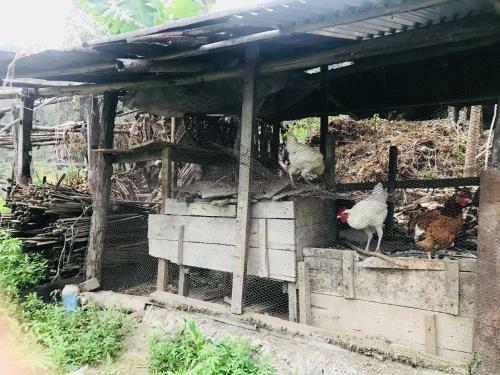 Shanti Niwas Homestay