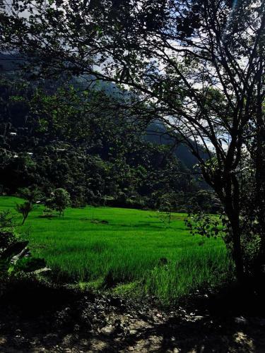 Shanti Niwas Homestay