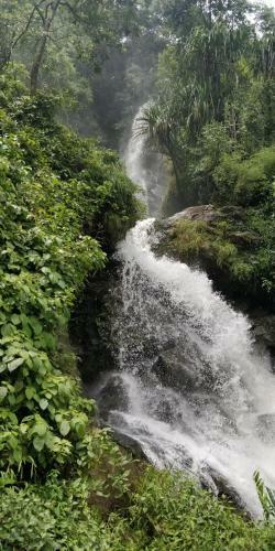 Shanti Niwas Homestay