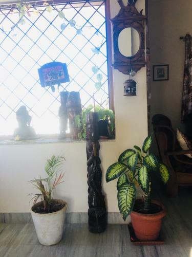 Artrush Villa