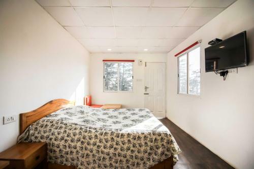 Bed & Breakfast Dhaulpur Lodge