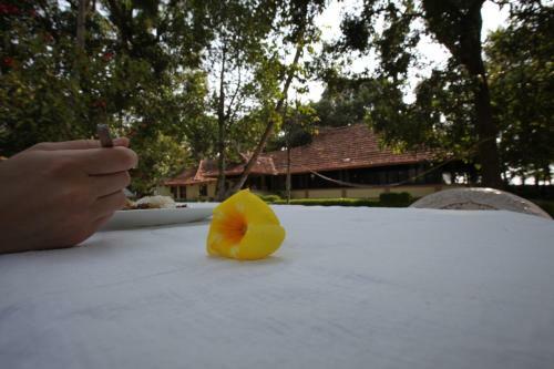 The Pamba Heritage Villa