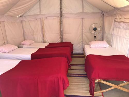 Tutti Hampi Tents & Cafe