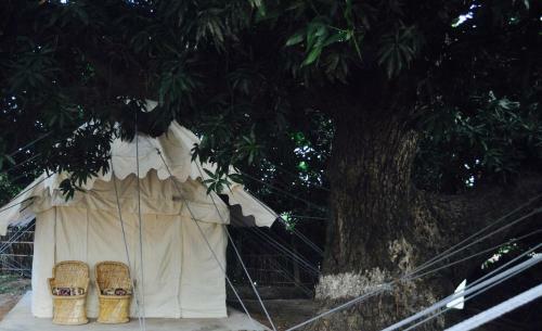 Tutti Hampi Tents & Cafe