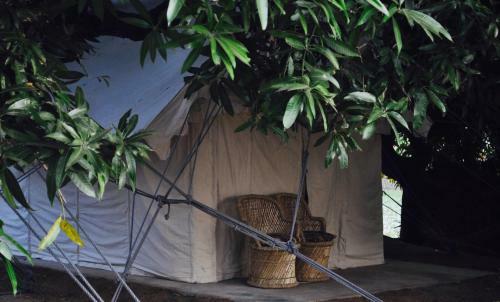 Tutti Hampi Tents & Cafe