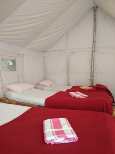 Tutti Hampi Tents & Cafe
