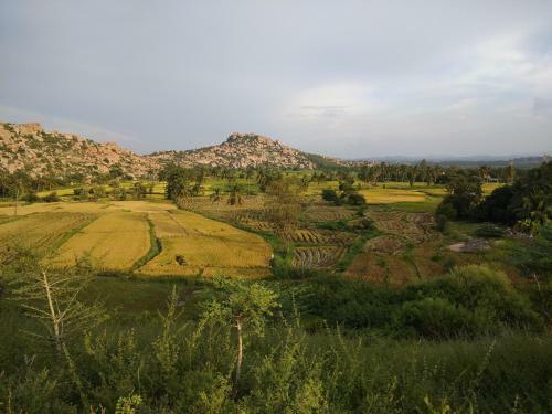 Tutti Hampi Tents & Cafe