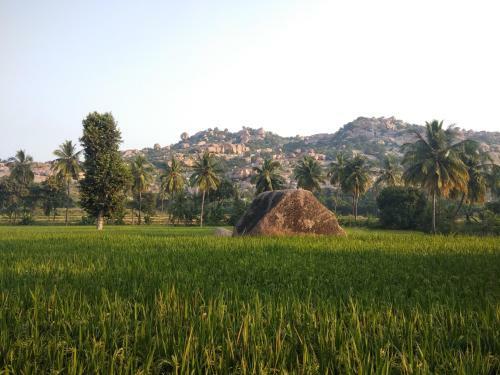 Tutti Hampi Tents & Cafe