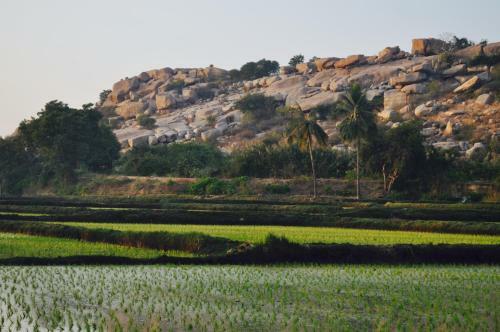 Tutti Hampi Tents & Cafe