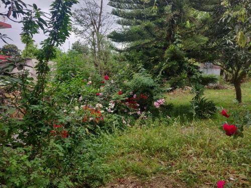 Apartamento Peace Himachal