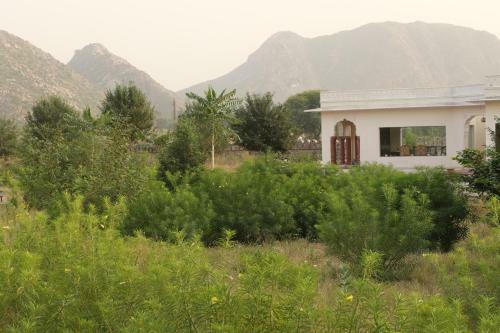 Hotel Gandharva Retreat