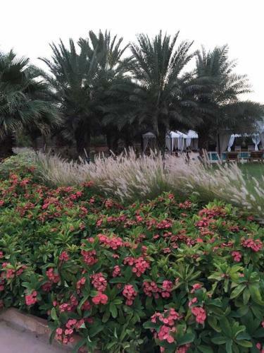 Hotel Samsara Resort And Camp