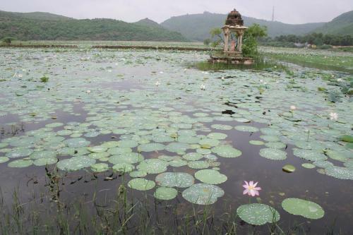 Hotel Ummaid Bagh Resort