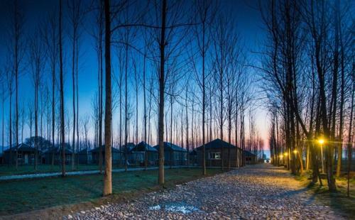 Hostal Anand @ The Satluj