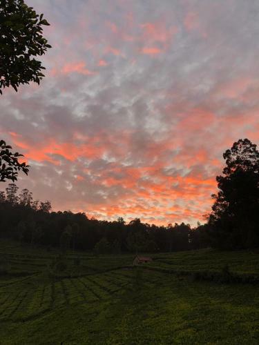 Bed & Breakfast Cassiopeia - An Ecorganic Farmstay