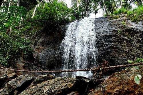 Karadikallu Homestay