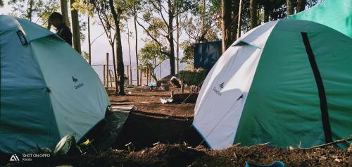Bed & Breakfast Munnar Jungle Camp