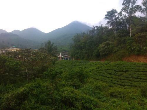 Bed & Breakfast Spice Green Residency