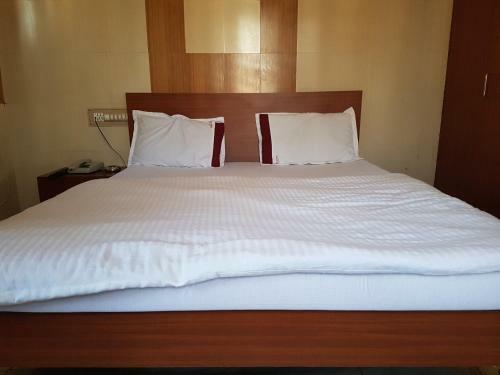 Hotel Dhruv Palace