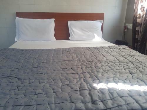 Hotel Dhruv Palace