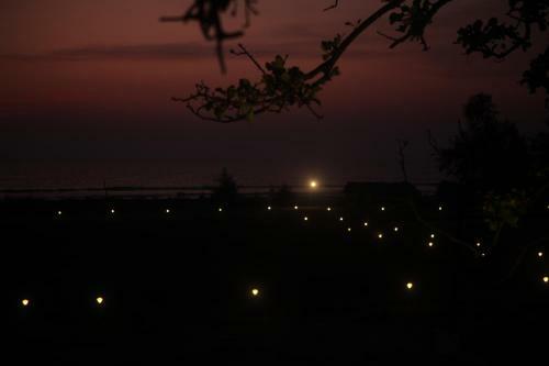 Hotel 5 Mile Beach Resort