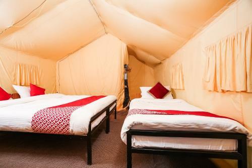 Bed & Breakfast Oyo 40829 Alpenglow Camp